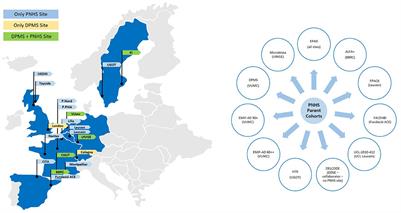 The amyloid imaging for the prevention of Alzheimer's disease consortium: A European collaboration with global impact